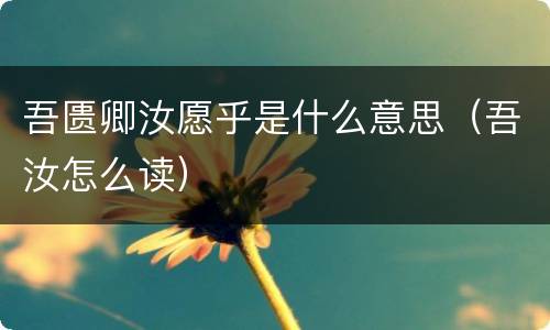 吾匮卿汝愿乎是什么意思（吾汝怎么读）