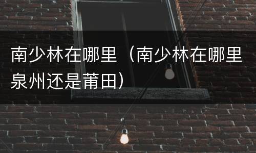 南少林在哪里（南少林在哪里泉州还是莆田）