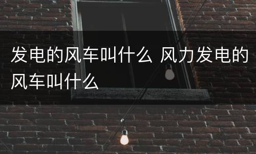 发电的风车叫什么 风力发电的风车叫什么