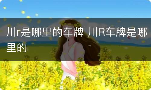 川r是哪里的车牌 川R车牌是哪里的