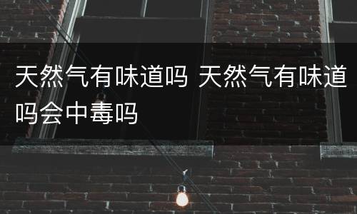 天然气有味道吗 天然气有味道吗会中毒吗