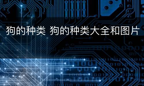 狗的种类 狗的种类大全和图片