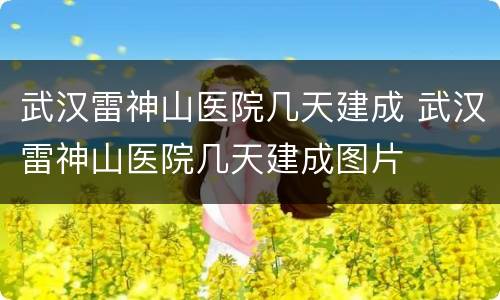 武汉雷神山医院几天建成 武汉雷神山医院几天建成图片