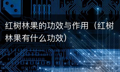 红树林果的功效与作用（红树林果有什么功效）