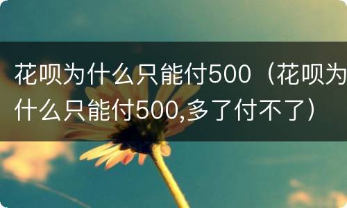 花呗为什么只能付500（花呗为什么只能付500,多了付不了）