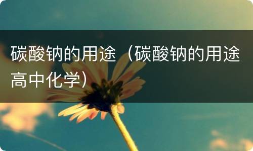 碳酸钠的用途（碳酸钠的用途高中化学）