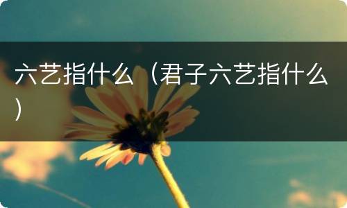 六艺指什么（君子六艺指什么）