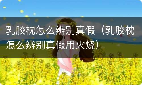 乳胶枕怎么辨别真假（乳胶枕怎么辨别真假用火烧）