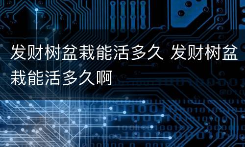 发财树盆栽能活多久 发财树盆栽能活多久啊