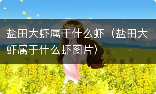 盐田大虾属于什么虾（盐田大虾属于什么虾图片）