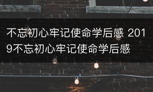 不忘初心牢记使命学后感 2019不忘初心牢记使命学后感