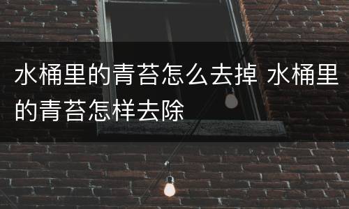 水桶里的青苔怎么去掉 水桶里的青苔怎样去除