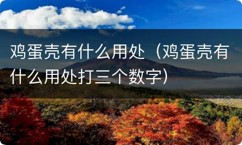 鸡蛋壳有什么用处（鸡蛋壳有什么用处打三个数字）