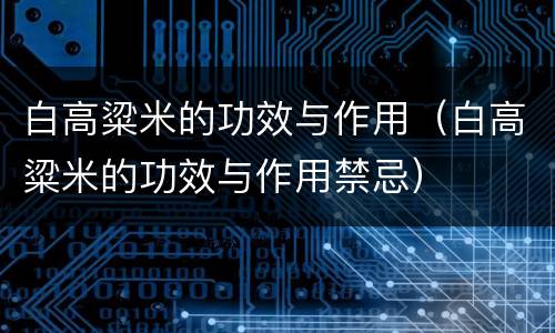 白高粱米的功效与作用（白高粱米的功效与作用禁忌）