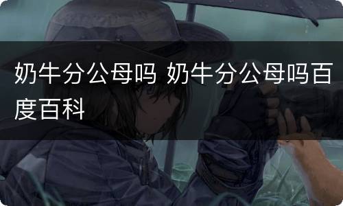 奶牛分公母吗 奶牛分公母吗百度百科