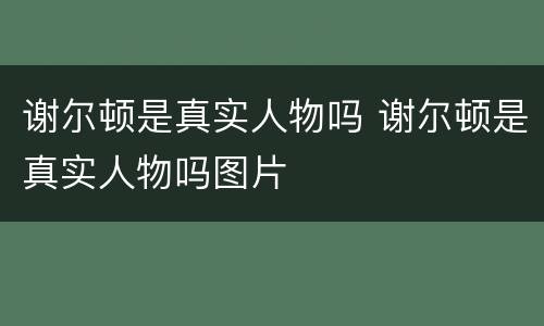 谢尔顿是真实人物吗 谢尔顿是真实人物吗图片