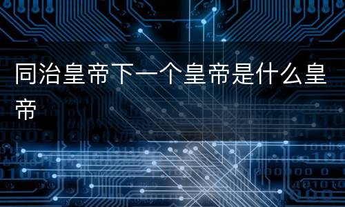 同治皇帝下一个皇帝是什么皇帝