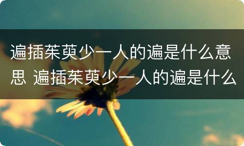 遍插茱萸少一人的遍是什么意思 遍插茱萸少一人的遍是什么意思a量词几遍第三部cao