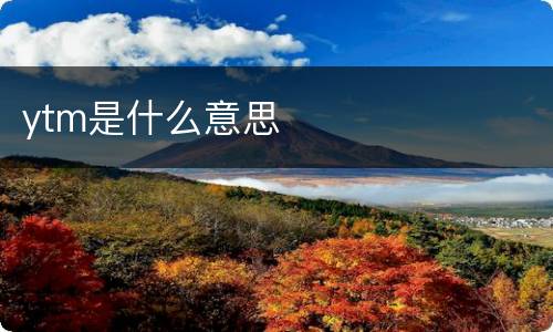 ytm是什么意思