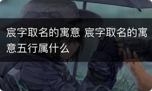 宸字取名的寓意 宸字取名的寓意五行属什么
