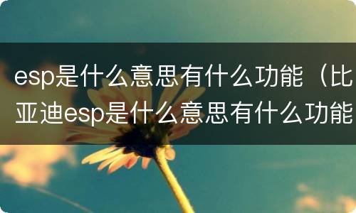 esp是什么意思有什么功能（比亚迪esp是什么意思有什么功能）
