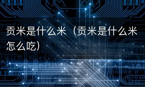 贡米是什么米（贡米是什么米怎么吃）