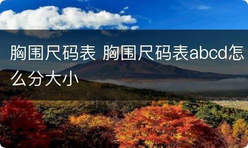 胸围尺码表 胸围尺码表abcd怎么分大小