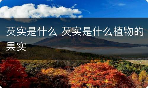 芡实是什么 芡实是什么植物的果实