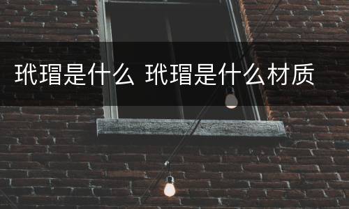 玳瑁是什么 玳瑁是什么材质
