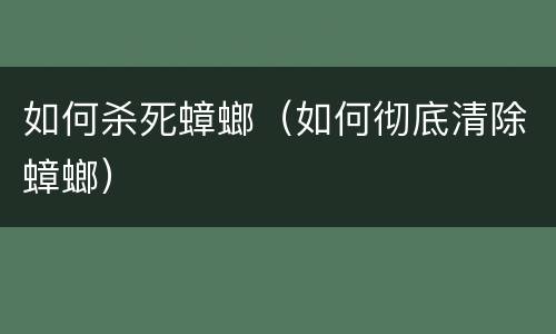 如何杀死蟑螂（如何彻底清除蟑螂）