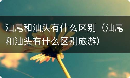 汕尾和汕头有什么区别（汕尾和汕头有什么区别旅游）