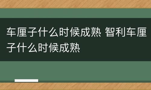 车厘子什么时候成熟 智利车厘子什么时候成熟