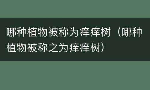 哪种植物被称为痒痒树（哪种植物被称之为痒痒树）