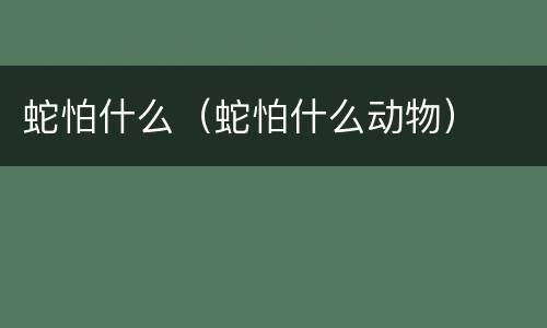 蛇怕什么（蛇怕什么动物）