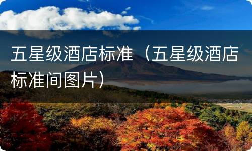 五星级酒店标准（五星级酒店标准间图片）