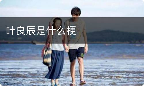 叶良辰是什么梗