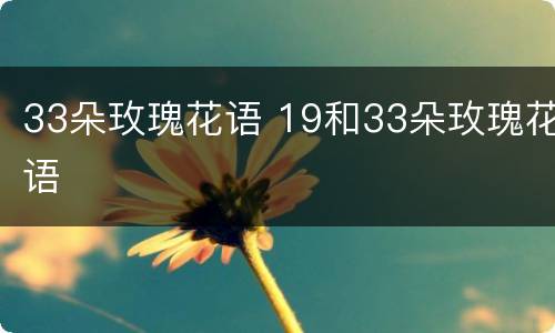 33朵玫瑰花语 19和33朵玫瑰花语