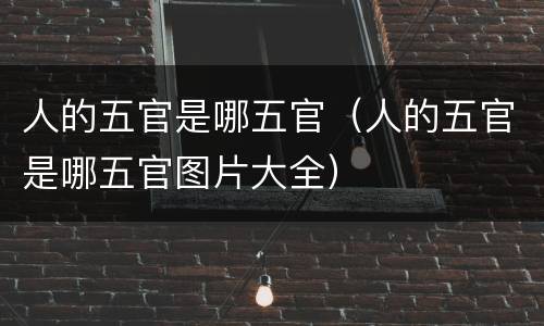 人的五官是哪五官（人的五官是哪五官图片大全）