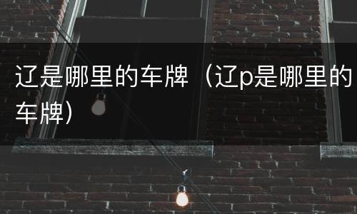 辽是哪里的车牌（辽p是哪里的车牌）