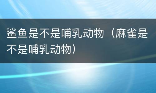 鲨鱼是不是哺乳动物（麻雀是不是哺乳动物）