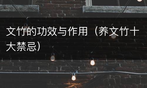 文竹的功效与作用（养文竹十大禁忌）