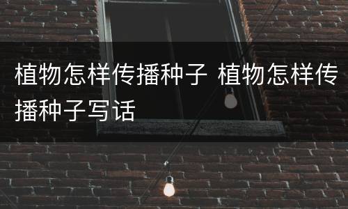植物怎样传播种子 植物怎样传播种子写话