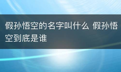 假孙悟空的名字叫什么 假孙悟空到底是谁