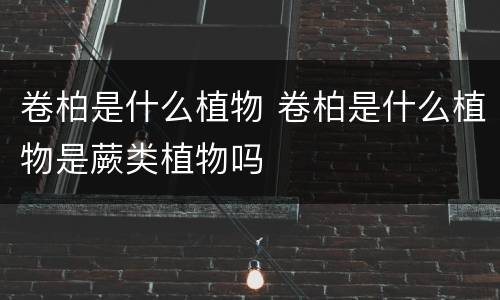 卷柏是什么植物 卷柏是什么植物是蕨类植物吗
