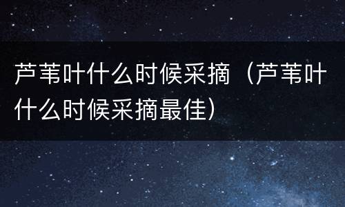 芦苇叶什么时候采摘（芦苇叶什么时候采摘最佳）