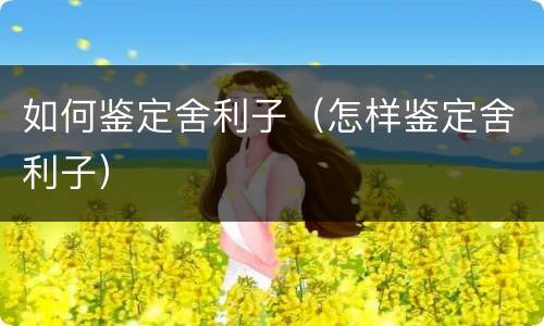如何鉴定舍利子（怎样鉴定舍利子）