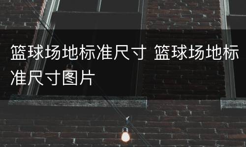 篮球场地标准尺寸 篮球场地标准尺寸图片