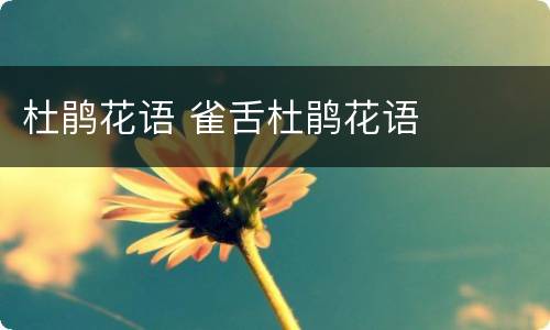 杜鹃花语 雀舌杜鹃花语