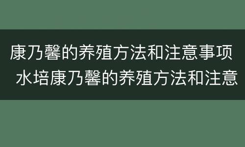 康乃馨的养殖方法和注意事项 水培康乃馨的养殖方法和注意事项