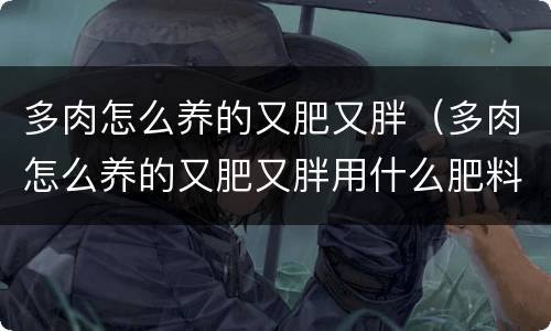 多肉怎么养的又肥又胖（多肉怎么养的又肥又胖用什么肥料）